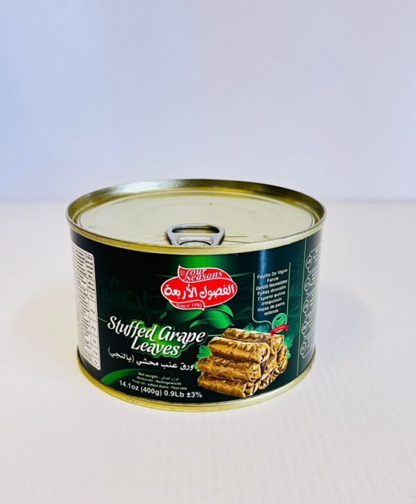 STUFFED GRAPE LEAVES